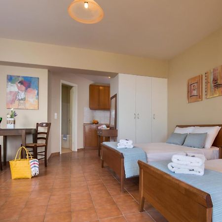 Villa Ilia Roussospítion エクステリア 写真